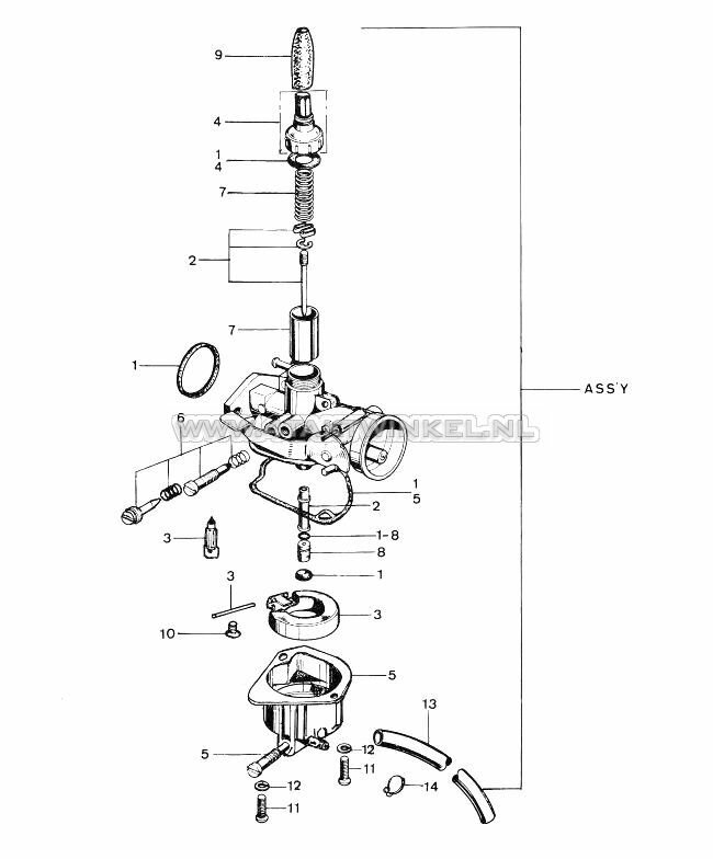 E10 - VERGASSER (NT)