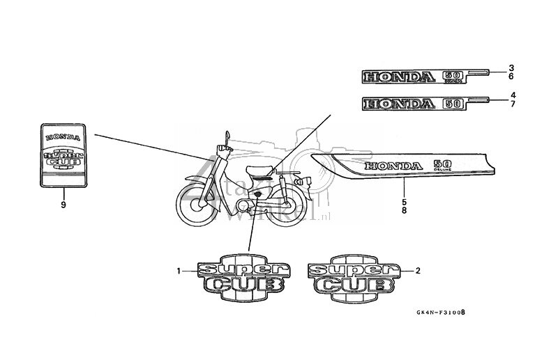 F31 - Stripe (C50N-P) (B1/D1/S1)