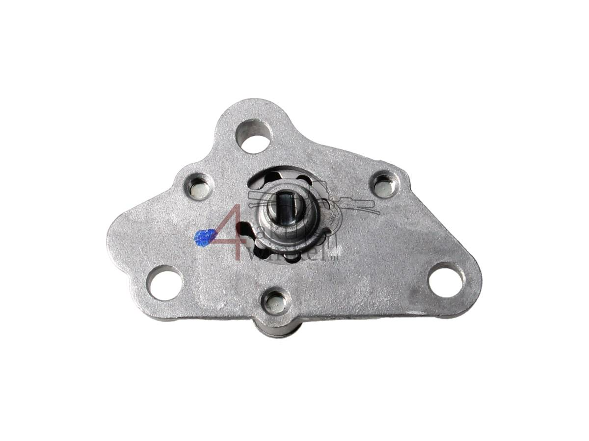 &Ouml;lpumpe 300, NT Kurbelgeh&auml;use, original Honda