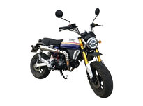 Bluroc X-Bongo EFI, 50 ccm, Euro 5, Bleu Strike Racing, gebraucht