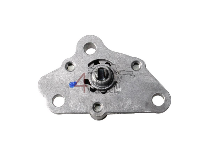 &Ouml;lpumpe 300, NT Kurbelgeh&auml;use, original Honda