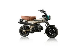 AUSVERKAUFT! Skymax , 50cc, EFI, Limited edition, Palm Beach