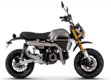 Bluroc X-Bongo EFI, 50cc, Euro 5, Grey