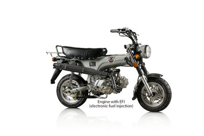 AUSVERKAUFT! Skymax Club, EFI, 50cc, Euro4, Gray