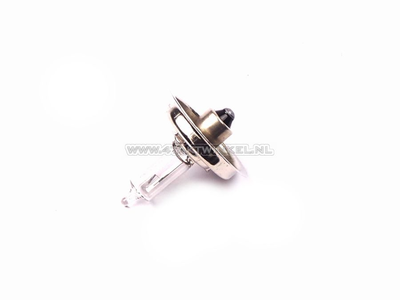 Scheinwerfer Lampe P26S, 12 Volt, 15 Watt, zB CB50, CY50, Halogen