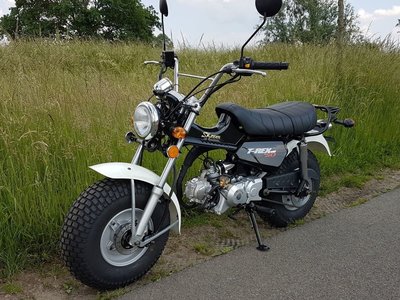 VERKOCHT ! Skymax T-rex, 50cc